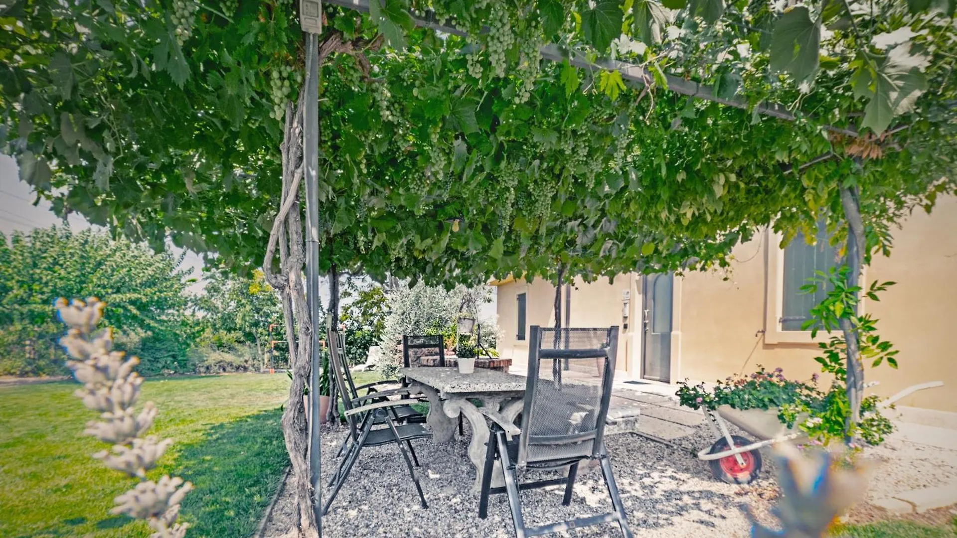 בית חווה קסטלנואובו דל גארדה Agriturismo Corte Albarel