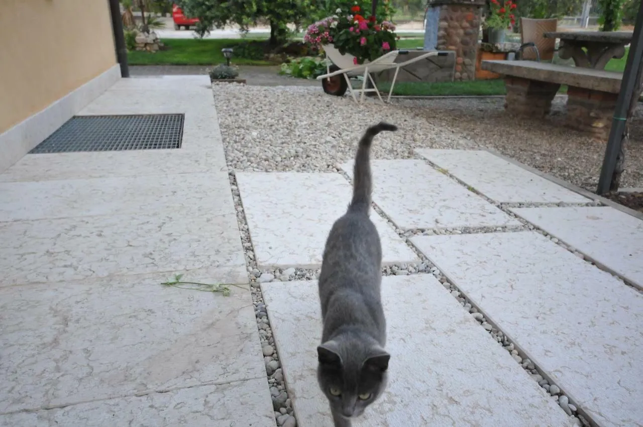 Lantgård Agriturismo Corte Albarel Castelnuovo del Garda
