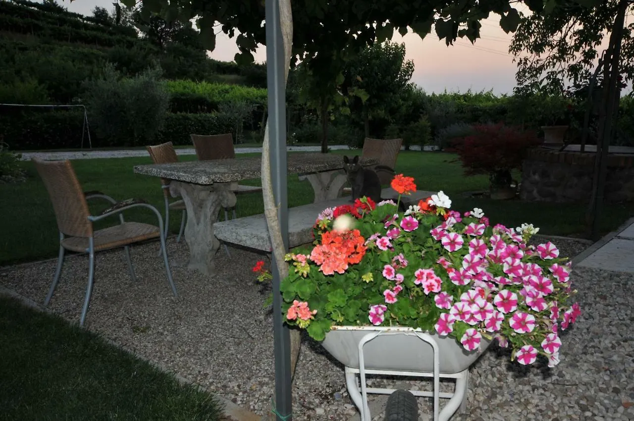 קסטלנואובו דל גארדה Agriturismo Corte Albarel איטליה