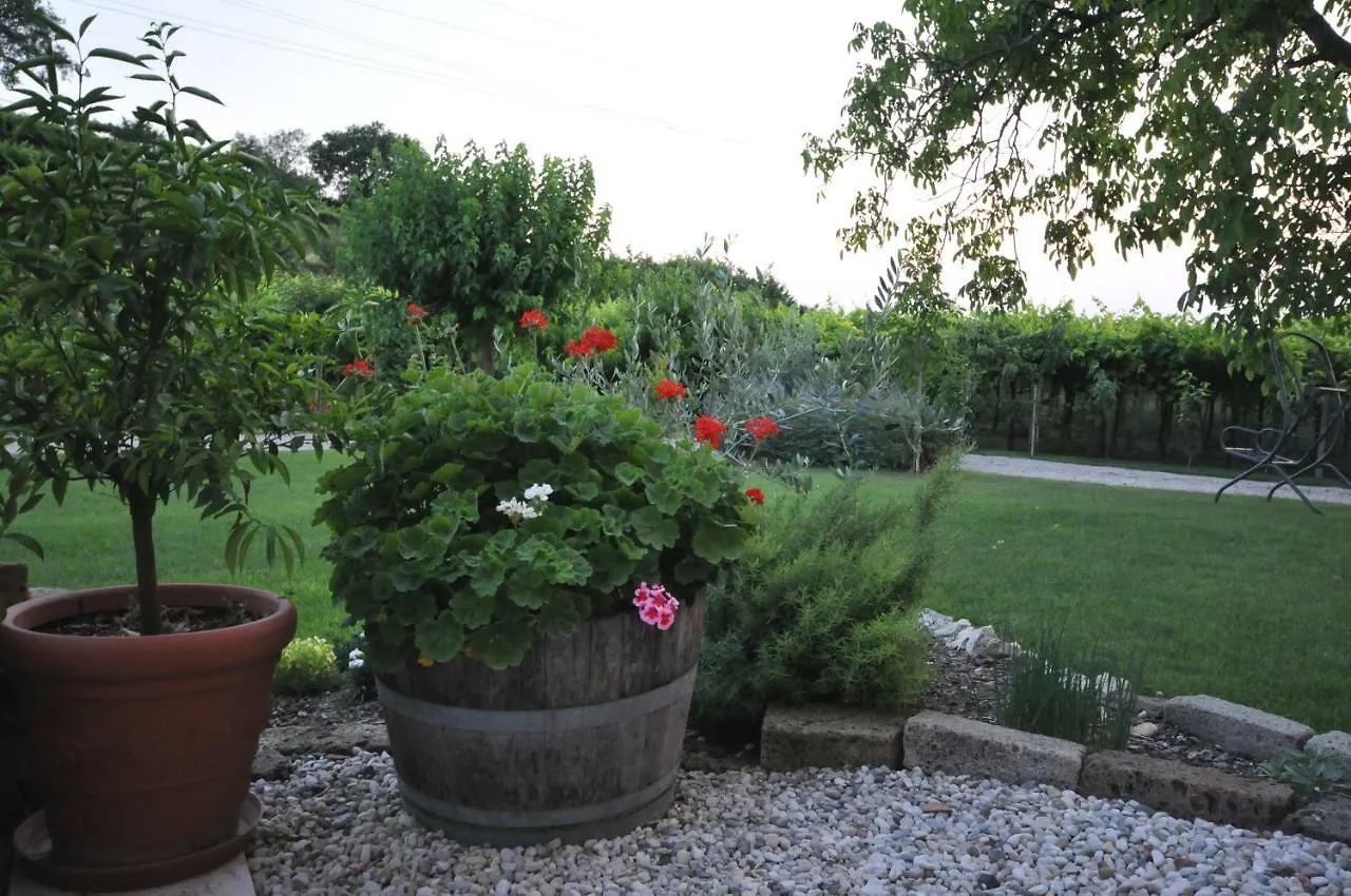 Alloggio per agriturismo Agriturismo Corte Albarel Castelnuovo del Garda Italia