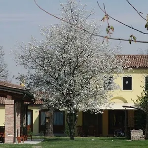 Appartement Particolari Del Brenta, Oriago